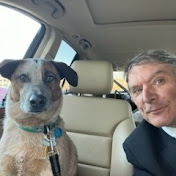 Thomas Braatz Real Estate - Keeping You Informed - Youtube Profile Picture of Thomas Braatz Real Estate - Keeping You Informed (@tombraatzrealestate) on Youtube