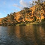 Profile Picture of Lower Murray lure Fishing Club (@lowermurraylurefishingclub) on Instagram