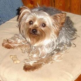 Profile Picture of Joyce Clark (@jclark60) on Pinterest