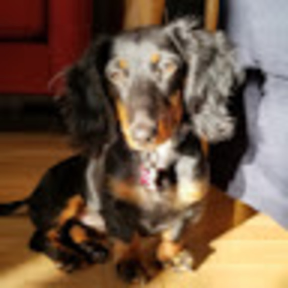 Profile Picture of Trevor Price (@trevorprice963) on Poshmark