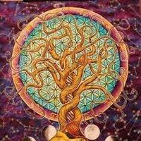 Profile Picture of James Paz (@james-paz-13) on Quora