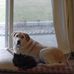 Profile Picture of Sherman Kramden (@sherman.kramden.3) on Facebook