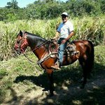 Profile Picture of David Góngora (@joe.gongora) on Instagram