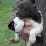 Profile Picture of Thomas Grothaus (@thomas.grothaus.9) on Facebook