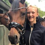 Profile Picture of chris.holle_dressage (@chris.holle_dressage) on Instagram