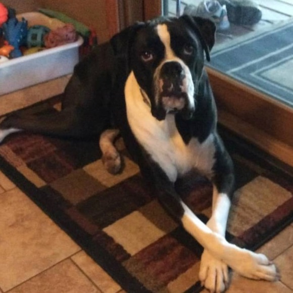 Profile Picture of John Stevenson (@johnstevens546) on Poshmark