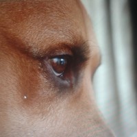 Profile Picture of Émy-jade Bouchard (@Émy-jade-bouchard) on Quora