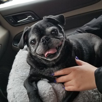 Profile Picture of Kelli Perry (@K___Perry) on Twitter