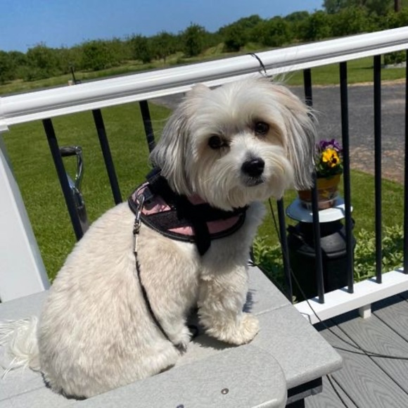 Joanne Galvin - Poshmark Profile Picture of Joanne Galvin (@jmgalvin) on Poshmark