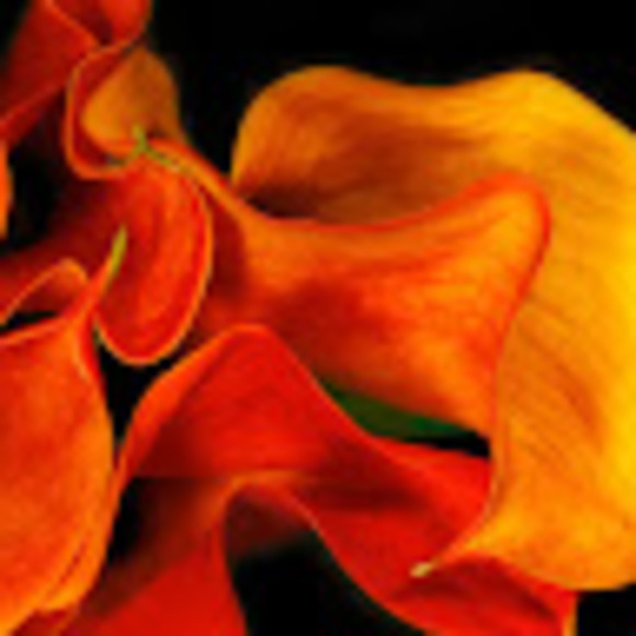 Profile Picture of Jenn Pembleton (@jpembleton13) on Poshmark