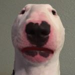 Profile Picture of Adam Bullivant (@adam_bully) on Instagram