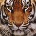 Profile Picture of John Montoya (@john.montoya.7946) on Facebook