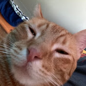 Luke Martinez - Youtube Profile Picture of Luke Martinez (@lukemartinez5208) on Youtube