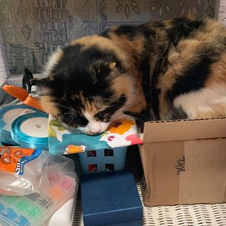 Profile Picture of Sherry DiRenzo (@sherry.direnzo.7) on Facebook