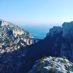 Profile Picture of Paul (@paul_griffon) on Instagram