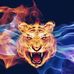 Profile Picture of Daniele Iacono (@daniele.iacono.754) on Facebook