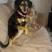 Profile Picture of James Hoyt (@james.hoyt.988) on Facebook