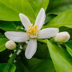 Profile Picture of SandraPask (@sandrapask) on Tiktok