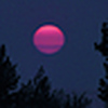 Profile Picture of Steve Nicholson (@wasagasunsets) on Flickr