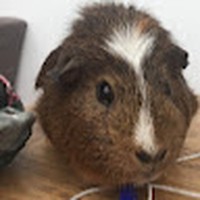 Profile Picture of Isobel Mason (@isobel-mason-8) on Quora