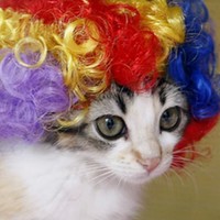 Profile Picture of Jean-paul Van Der Windt (@jean-paul-van-der-windt) on Quora