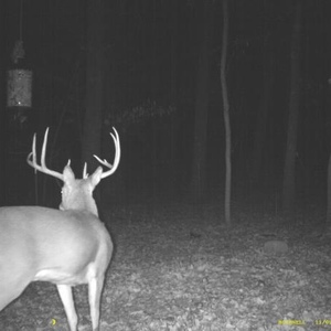 Profile Picture of Marc Copeland (@262906144) on Myspace