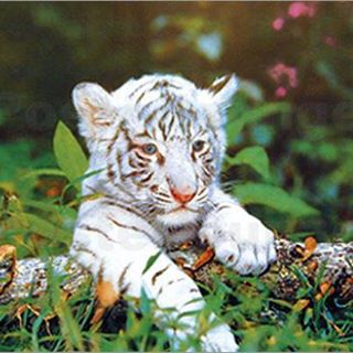 Profile Picture of Lea Blume (@Lea-Blume) on Facebook