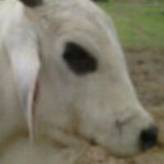 Profile Picture of Daniel Binns (@danielbinns3) on Instagram