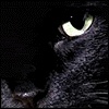 Profile Picture of Barbara R. (@amsterdamgirl) on Myspace
