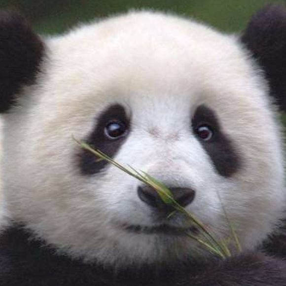 Profile Picture of B. maria Tiznado (@partygirl_mari) on Poshmark