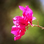 Profile Picture of mR.SøNí (@vivek_soni_111) on Instagram