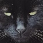 Profile Picture of Tyler Davey (@tylerd482) on Instagram