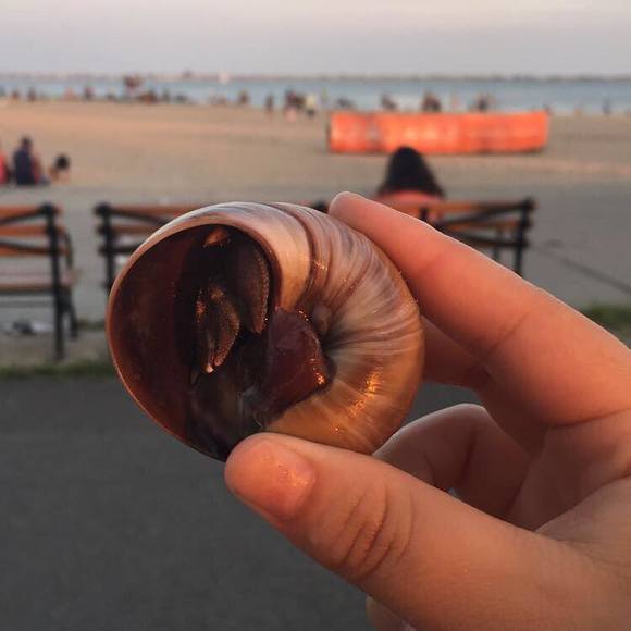 Profile Picture of Stephany rodriguez Alex (@lolatephanylol) on Poshmark