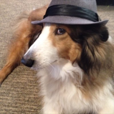 Profile Picture of Jay Warnock (@warnock_jay) on Twitter