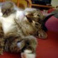 Profile Picture of Karl Kotas (@karl-kotas) on Quora