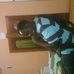 Profile Picture of Rollin Johnson's (@rollin.johnsons) on Facebook