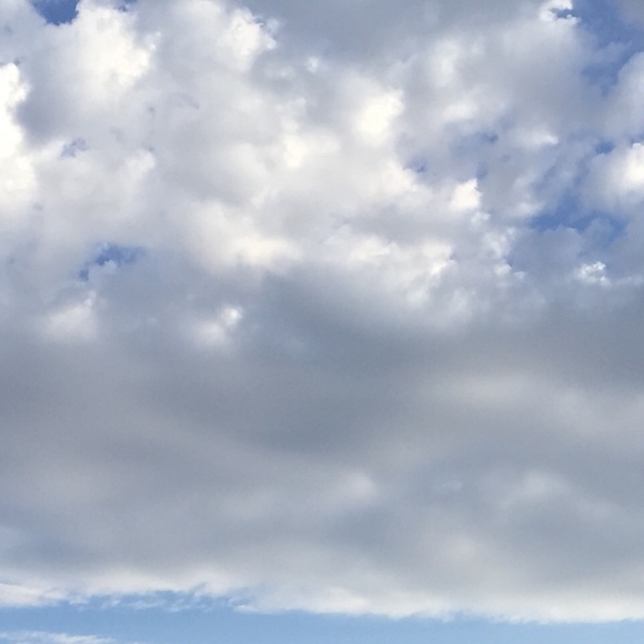 Profile Picture of Mary Saiders (@marysauders) on Poshmark