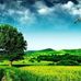 Profile Picture of Ahmed Hamadi (@ahmed.hammadi.1048) on Facebook