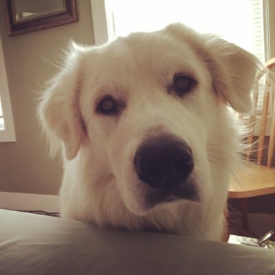 Profile Picture of Chris Aoyama (@RokYama) on Twitter