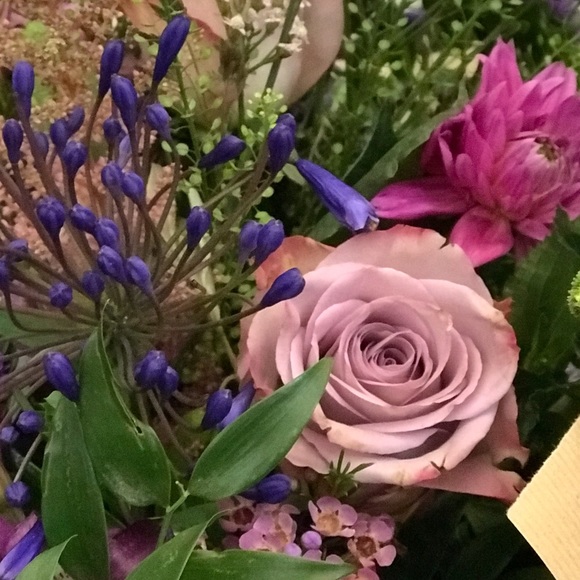 Profile Picture of Emese Perfecto (@eperfecto) on Poshmark