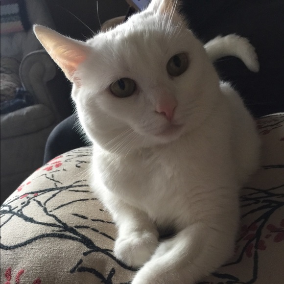 Profile Picture of Shawna Tucker (@stucker433) on Poshmark