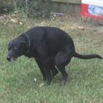 Profile Picture of ❄️Grayson Matthews ❄️ (@smash.potatos.and.gray.vy) on Instagram