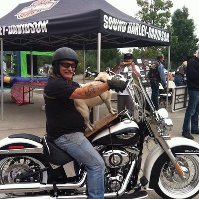 Profile Picture of Mark L Armstrong (@wyatthook) on Twitter