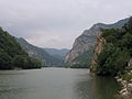 Profile Picture of Olteniaon Wikipedia