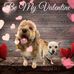 Profile Picture of Kelly Elliott (@kelly.elliott.967422) on Facebook