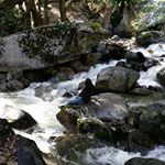 Profile Picture of cameron roche (@cameron_roche18) on Instagram