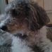 Profile Picture of Aileen Mair (@aileen.mair) on Facebook