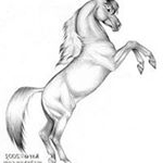 Profile Picture of Hugo Daniel Ramis (@hugodanielramis) on Instagram