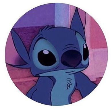 Profile Picture of Paul Reimann (@paulreimann6) on Tiktok