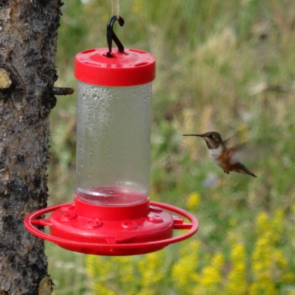 Profile Picture of Laurie Bendall (@bkindpleasethx) on Poshmark